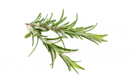 Simply Fresh Rosemary-LH   Box  100 grams